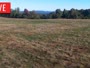 LaFollette - Hatfield Knob Elk