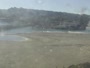Del Mar - Dog beach