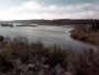 Surry - Hog Island - Wildlife Management Area