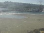 Del Mar - Dog beach